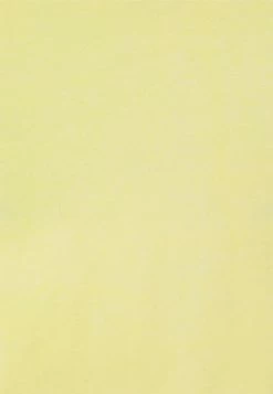 EDITED RAFAELA - Débardeur Women -France Edited Soldes 2022 192dc239f3e44ccd8d292181d97c48e4